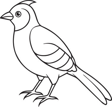 recommend clip art: bird line art vector