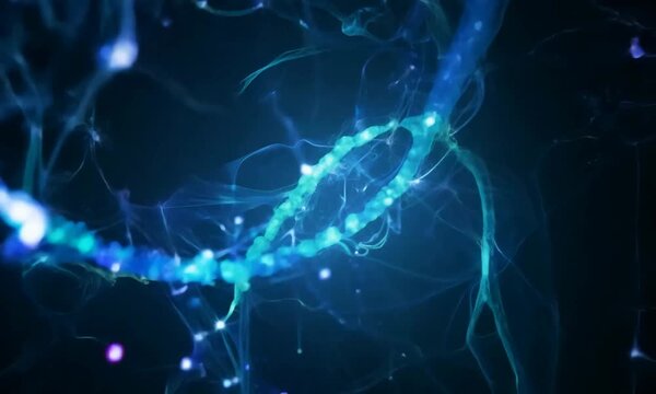 Close-up shot of neurons firing and connecting in a network.