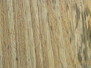 Environment background. Scratchy Pattern. Abstract Grainy Background.