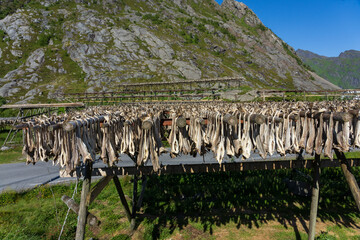 Stock fish