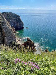 The beautiful Southeastern coast of the island of Shkota in August in sunny weather. Russia, Vladivostok city