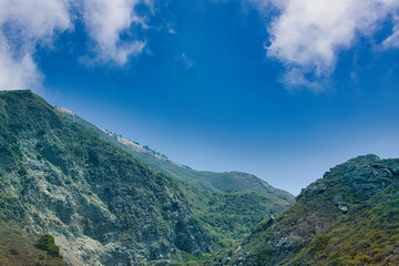Obraz premium Exploring Willow Creek in Big Sur, California