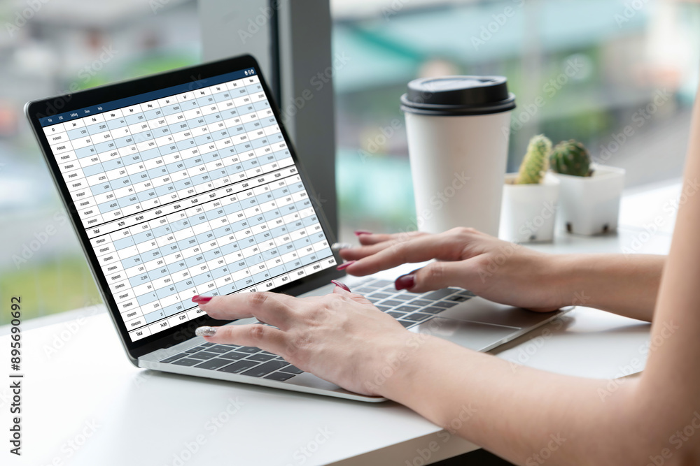 Poster accounting software on computer screen showing financial statement spreadsheets and account balance 