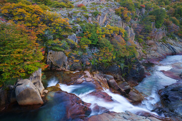 Patagonia landscape in autumn (Los Glaciares National Park)