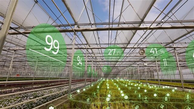 Smart greenhouse. Control of parameters in the greenhouse. Smart greenhouse concept with flowers