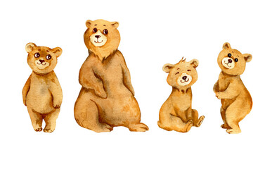 Fototapeta premium watercolor set of forest animal bear, sketch of cartoon adult mother bear and three different bear cubs, funny illustration on white background, for children posters