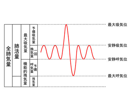 肺気量分画（スパイログラム）文字あり