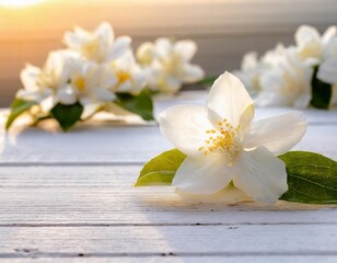 art jasmine spring flowers frame on white background