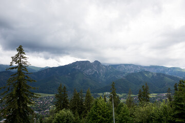 Высокие горы в Европе. Скалистые горы с густыми лесами у подножья. Горный ландшафт. Панорама гор.