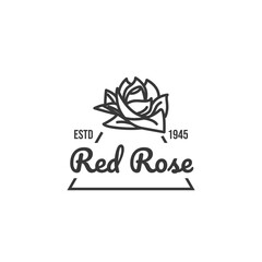 Rose flower logo design illustration