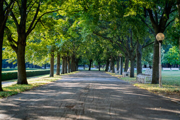 Medical Garden of Bratislava