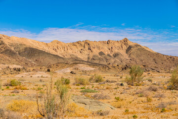 Arid landscape in the Richtersveld National Park