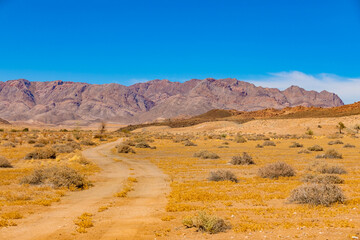Arid landscape in the Richtersveld National Park