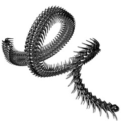 Chrome 3D element. Abstract array metal ridge, iron bones in cyber sigilism style, perspective objects. Transparent background