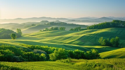 Obraz premium Wide rural landscape with lush green fields and forested hills under a clear morning sky