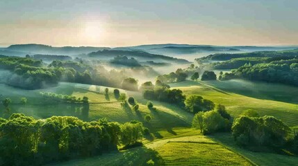 Wide rural landscape with lush green fields and forested hills under a clear morning sky