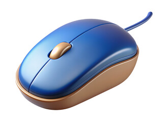 computer mouse
