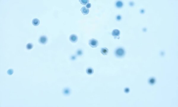 A blue background with many small blue dots. The background is very light and airy