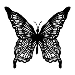 Single linear butterfly on a white background. Vintage style black