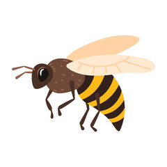 Honey bee isolated on white background. Vector flat illustration.