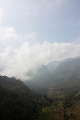 Scenic Hilltop View Shrouded in Mystical Morning Fog