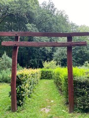 Fototapeta premium wooden door in the park