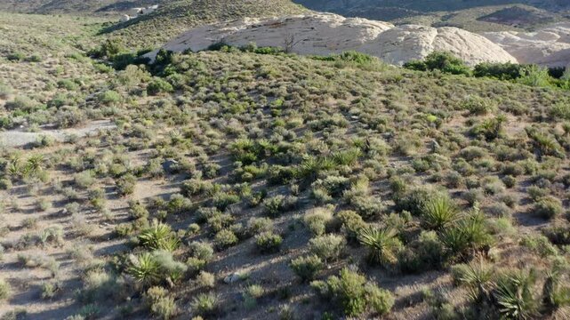 Tilt shot with drone White Rock Hills, Red Rock Canyon NCA, Nevada, Las Vegas, USA.