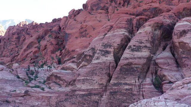Pan Shot Petrified Sandstone, Red Rock Canyon NCA, Nevada, Las Vegas, USA.