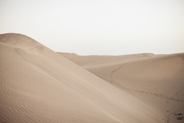 traces on sand dunes in the desert, Maspalomas travel destination at Gran Canaria, Canary Islands, Spain. Beige neutral earthy color palette.