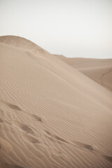traces on sand dunes in the desert, Maspalomas travel destination at Gran Canaria, Canary Islands, Spain. Beige neutral earthy color palette.