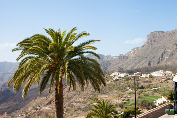 view on the palm trees and mountains in Tejeda village in the scenic mountains of Gran Canaria, Canary Islands, Spain. Tourism sightseeing destination. 