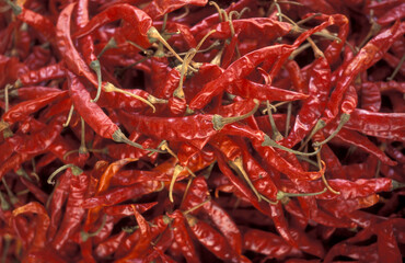 INDIA KARNATAKA MYSORE MARKET