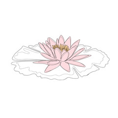 Water Lily One Line Drawing, Home Decoration, Wall decor, Water Lily Printable Original Drawing, Best Gift For Beloved, Modern Flower Decor