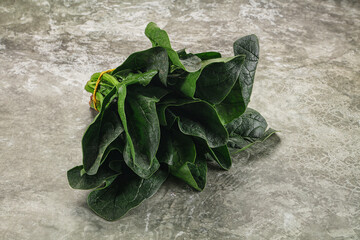 Ripe green spinach leaves heap