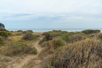 Cala Grande beach in Almeria Spain 9