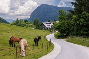 Beautiful view of little village in Slovenia, Europe