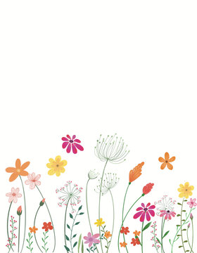 flowers and butterflies