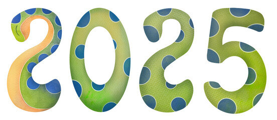 Happy New Year 2025 text design. green snake on transparent background. symbol of lunar year 2025, horoscope mascot, cute watercolor art