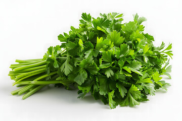 Obraz premium Green Parsley on a white background