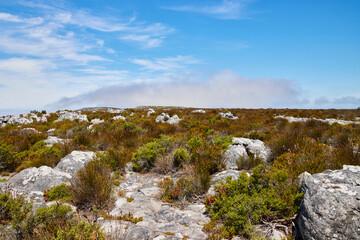 Eine Reise durch Südafrika. Kapstadt und  Umgebung.