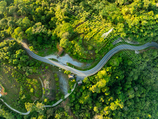 Aerial view Tropical Rainforest trees mountains with curve road in the forest