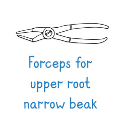 Forceps For Upper Root Narrow Beake - hand drawn dental instrument