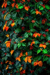Vibrant holly leaves and berries with rich green and red hues, perfect for festive Christmas decorations and holiday themes.