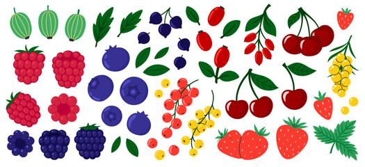 Berries set. Cherry, black currant, raspberry, gooseberry, blueberry, blackberry, strawberry, barberry, sea buckthorn. Fresh summer juicy berry. Flat Vector illustration isolated on white background