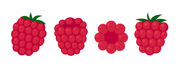 Raspberry set. Fresh summer juicy berry. Flat Vector illustration isolated on white background © Marta Sher