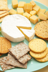 Different types of cheese with crackers on mint plate. Vertical photo