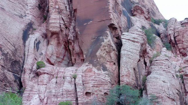 Detail Petrified Sandstone, Red Rock Canyon NCA, Nevada, Las Vegas, USA.