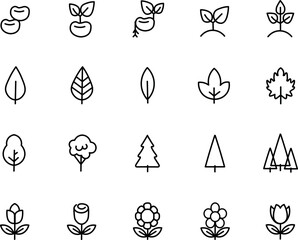 plant icons, vector icons, seeds, trees, leaves, oak, pine, botanical icons
