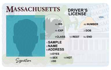 Massachusetts driver's license isolated on white background. Person driver license