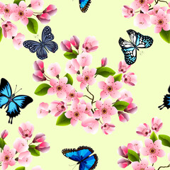 Vector illustration with butterflies and sakura.Butterflies and blooming sakura on a colored background in vector illustration.